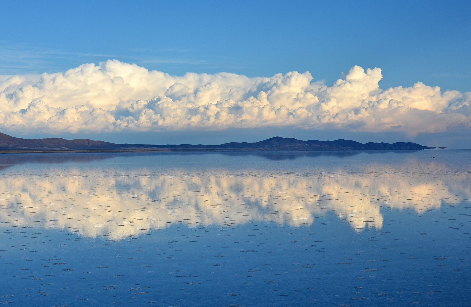 技术优势突出，致力打造全产业链一体的中成药企