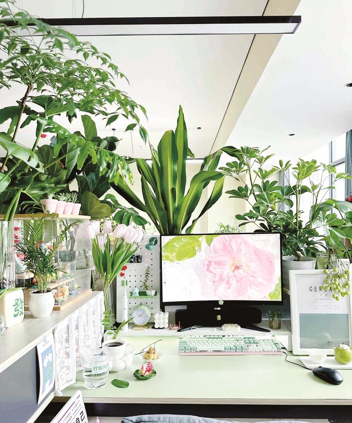 2平米内融入生活热情花千元提升职场归属感！“工位装修”成职场人新时尚