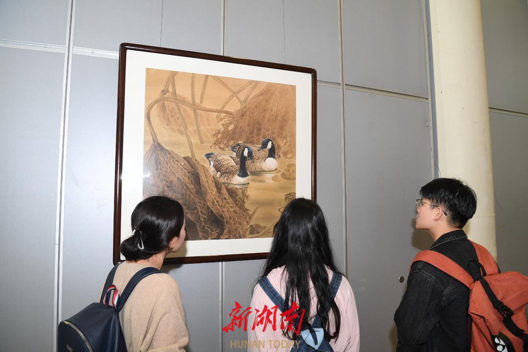 花开新征程绽放新精彩绘画图片,新花展