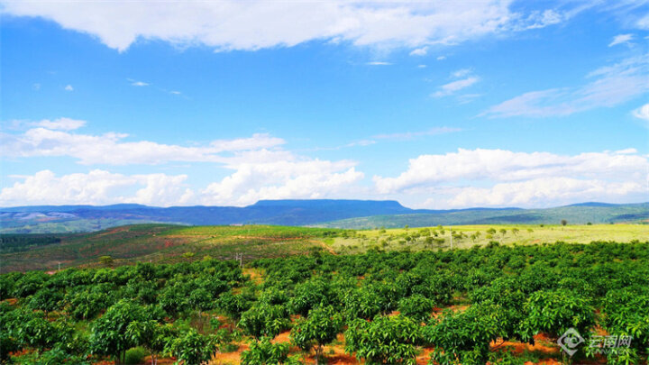 云南农业发展成功,云南农业投资项目有哪些