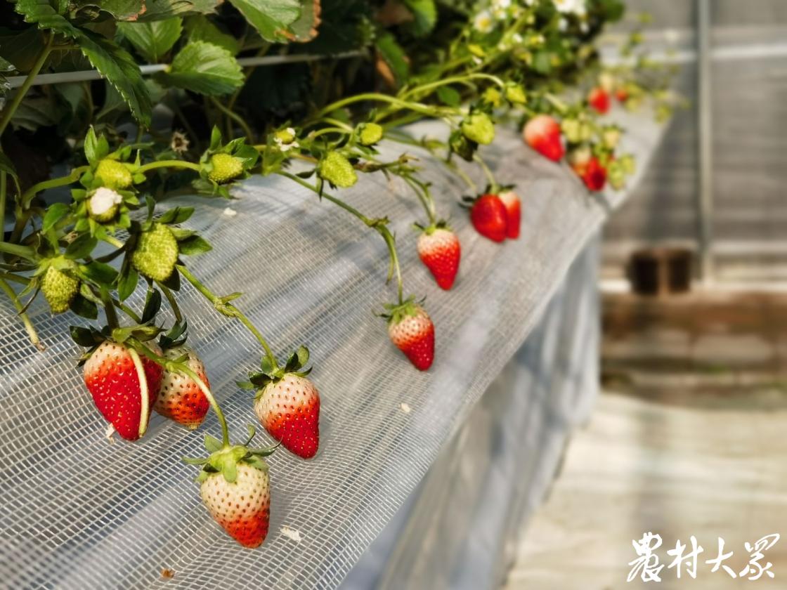 夏季即墨温泉,五一即墨温泉一日游