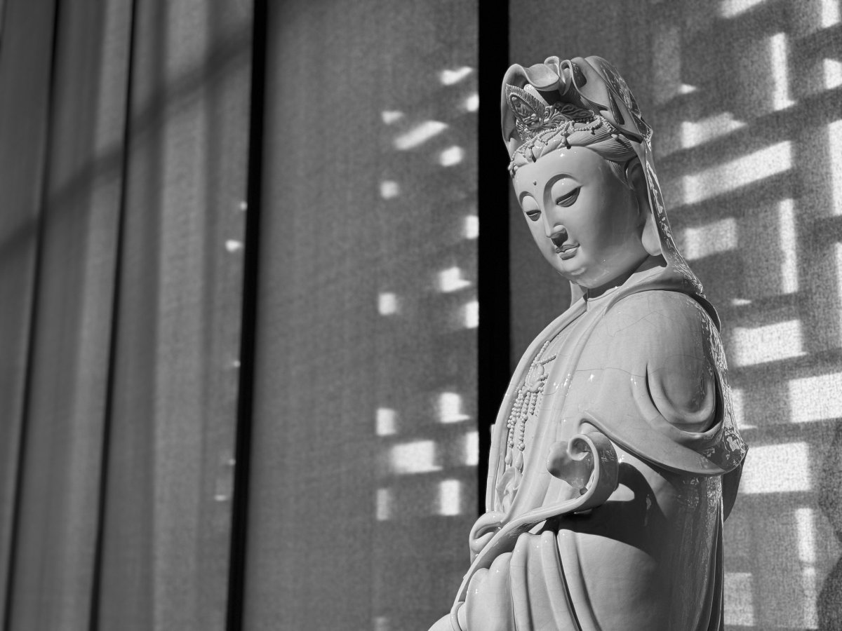 来看一下苹果15promax拍摄,苹果15promax拍摄最清晰参数