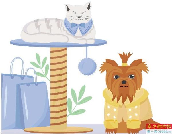 26只宠物花费,宠物一年花销大概多少