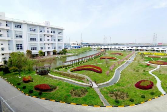 上海市专精特新小巨人,国家级专精特新小巨人企业上海