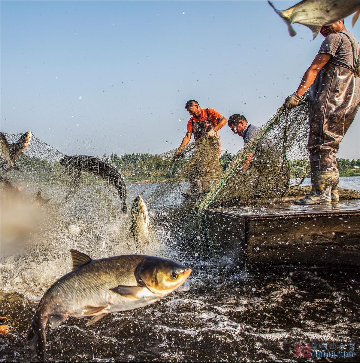 感知山东,山东潍坊的厉害之处