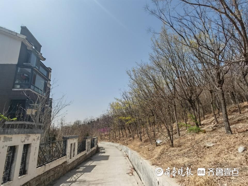 小区旁冒出墓地,小区惊现墓地房