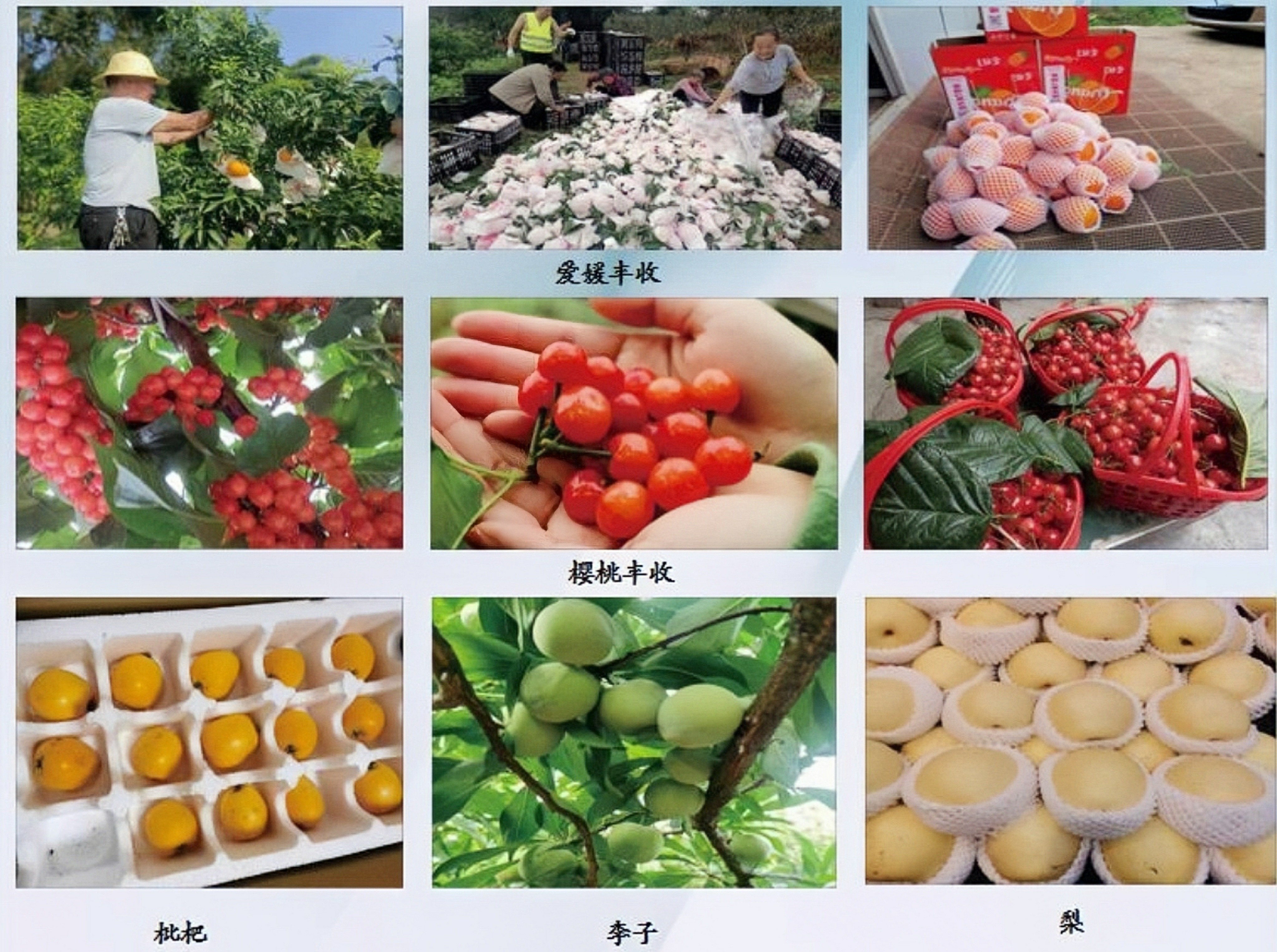 闪闪的幸福,闪闪的幸福生活最新视频