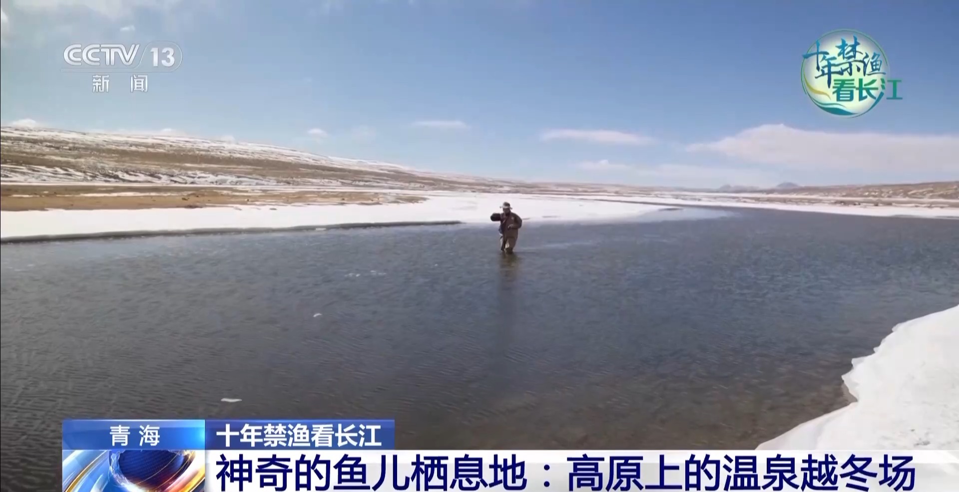 长江禁渔鱼类数据变化,长江禁渔三年多鱼儿们过得怎么样