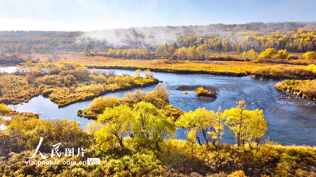 内蒙阿尔山美景视频,阿尔山国家森林公园的秋色