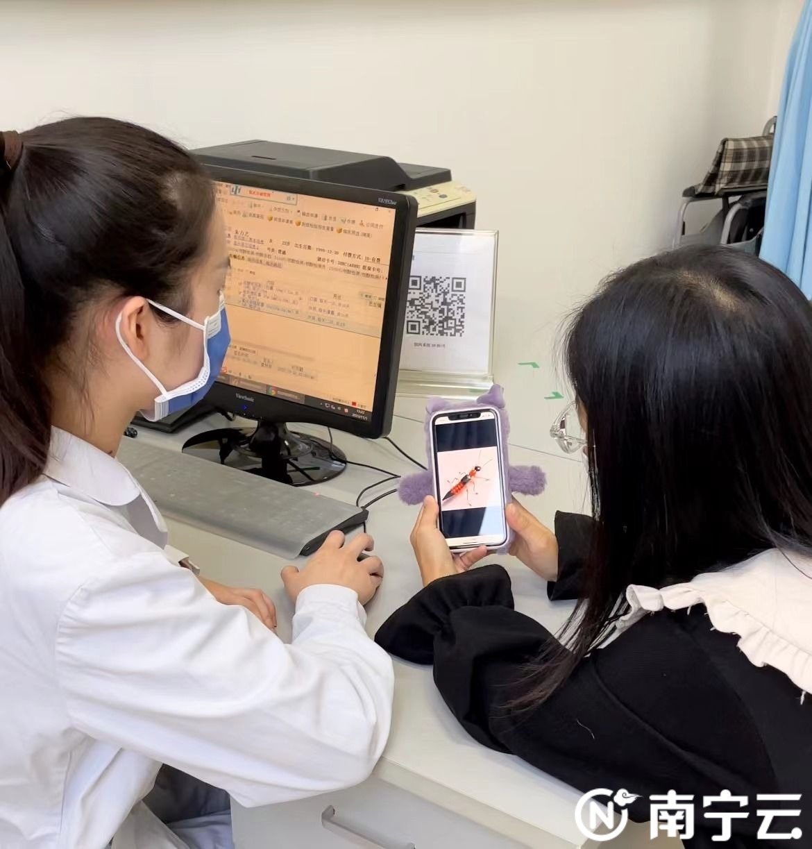 隐翅虫安全知识,当心隐翅虫