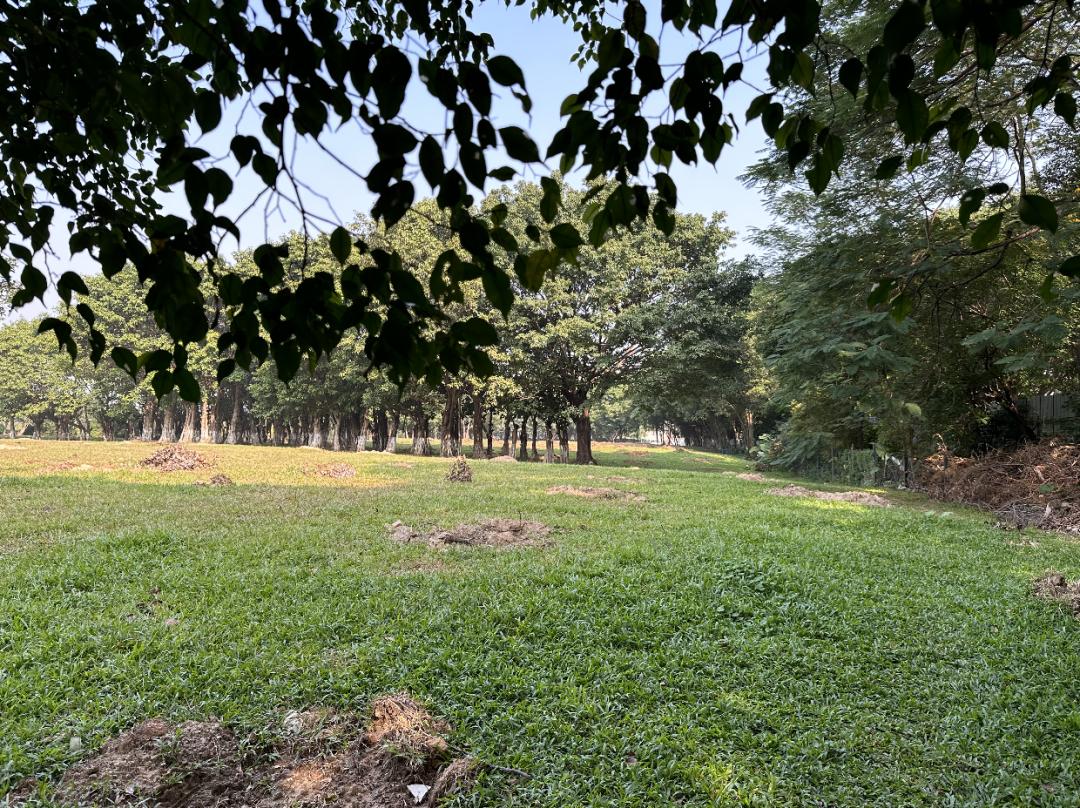 老黄埔“王炸地”会抢破头？很悬啊……