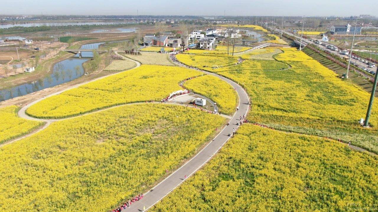 坐上开往春天的小火车,踏上开往春天的火车