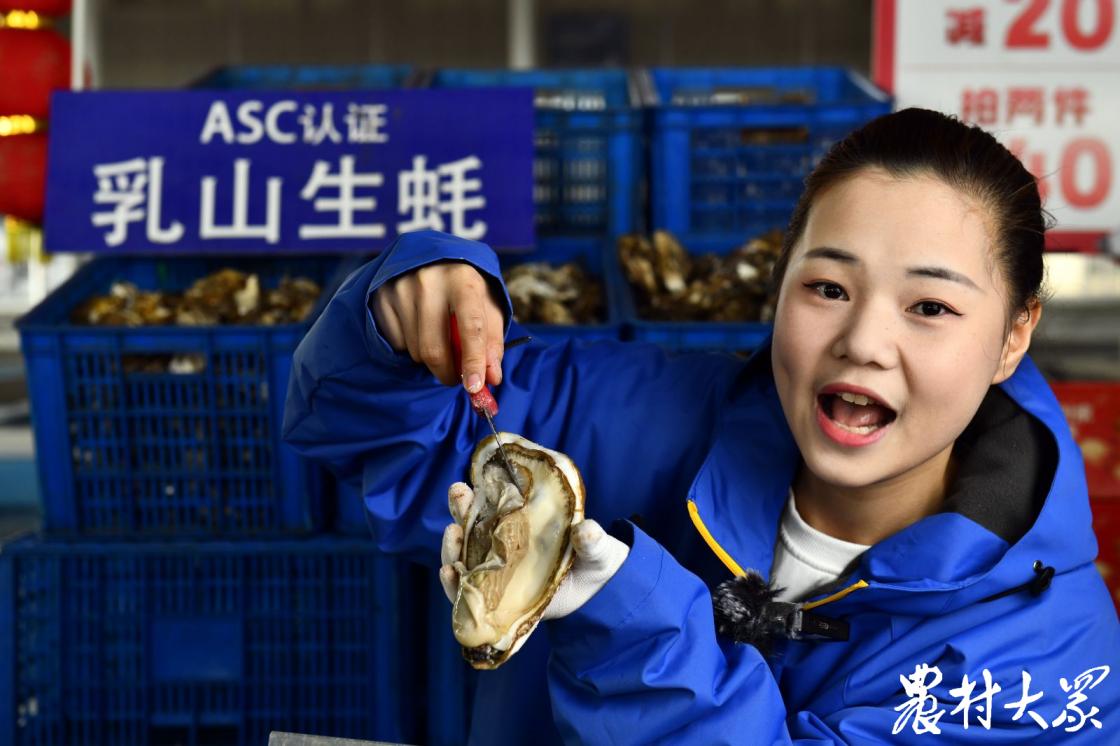 观察乡村,观察村视频