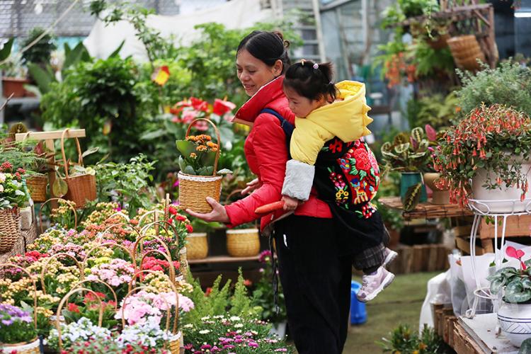 春暖花开春意浓花卉市场人气旺,花卉市场春意浓姹紫嫣红迎新年