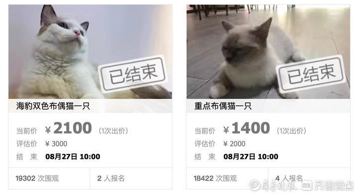 低价捡漏心理的背后,低价捡漏安全吗