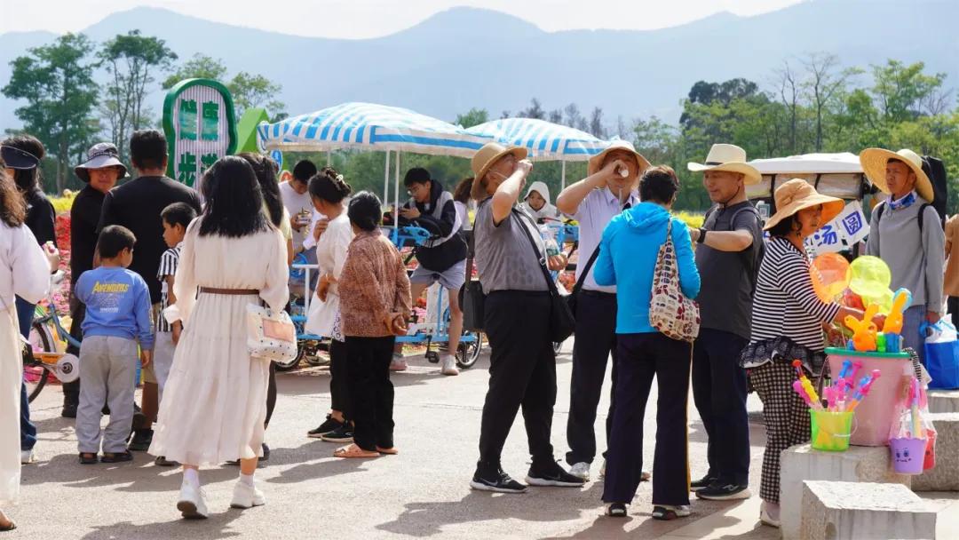 22.26万人次、2.04亿元！澄江清明假期“不负*光春**”