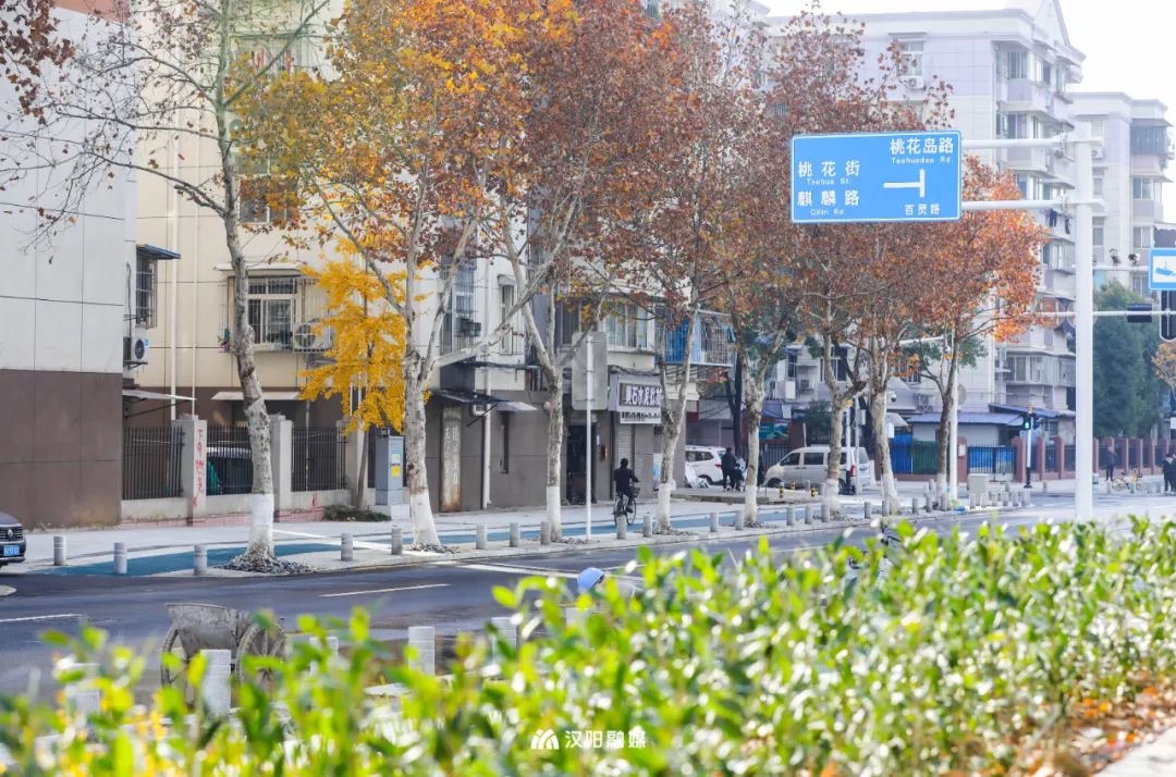 汉阳城市更新最新消息,汉阳区城市更新项目最新计划安排