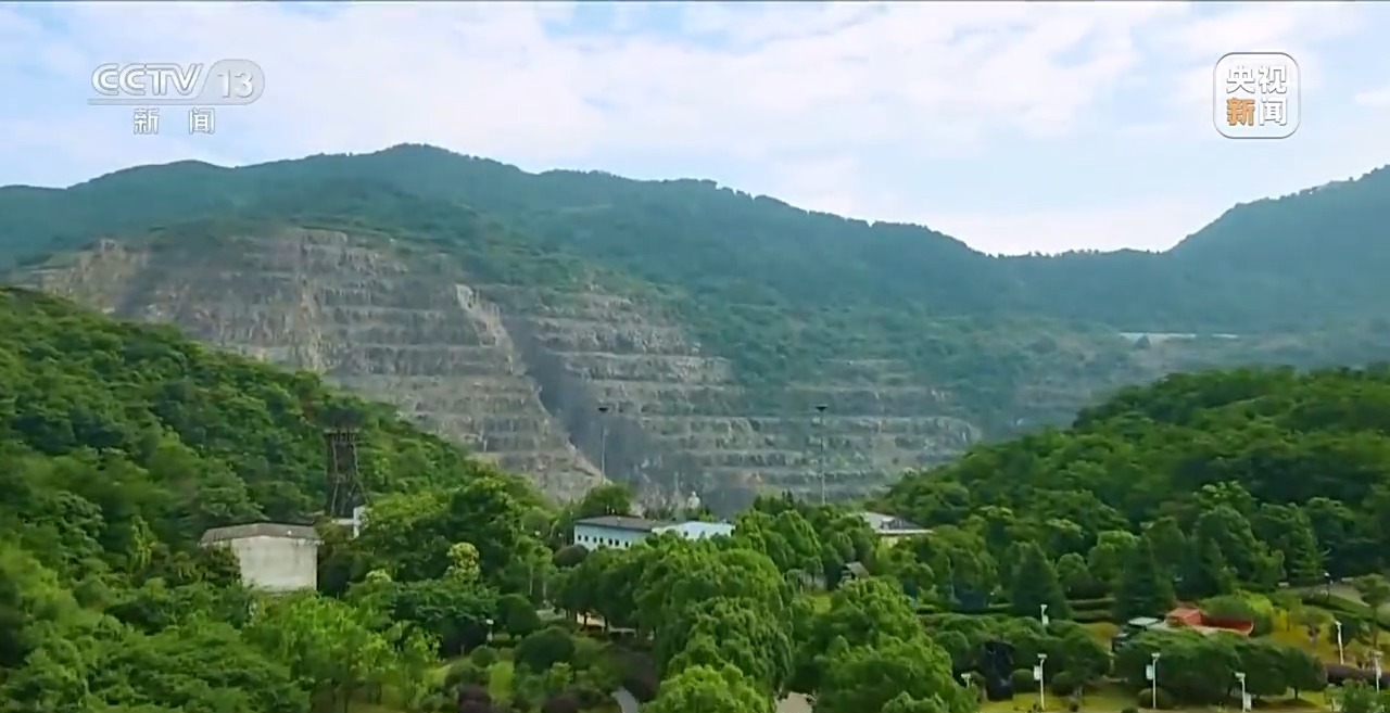 石缝种植植物,石缝种树