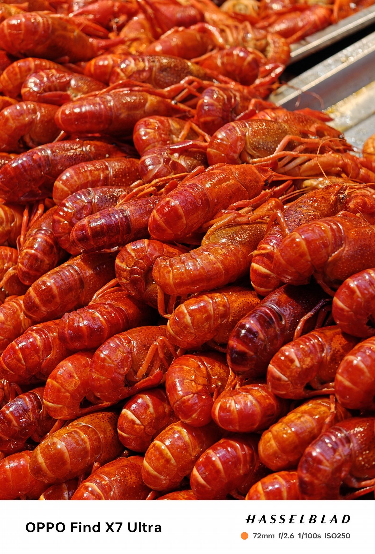 oppofindx7ultra娴嬭瘎,oppofindx7ultra鎷嶆憚璇勬祴