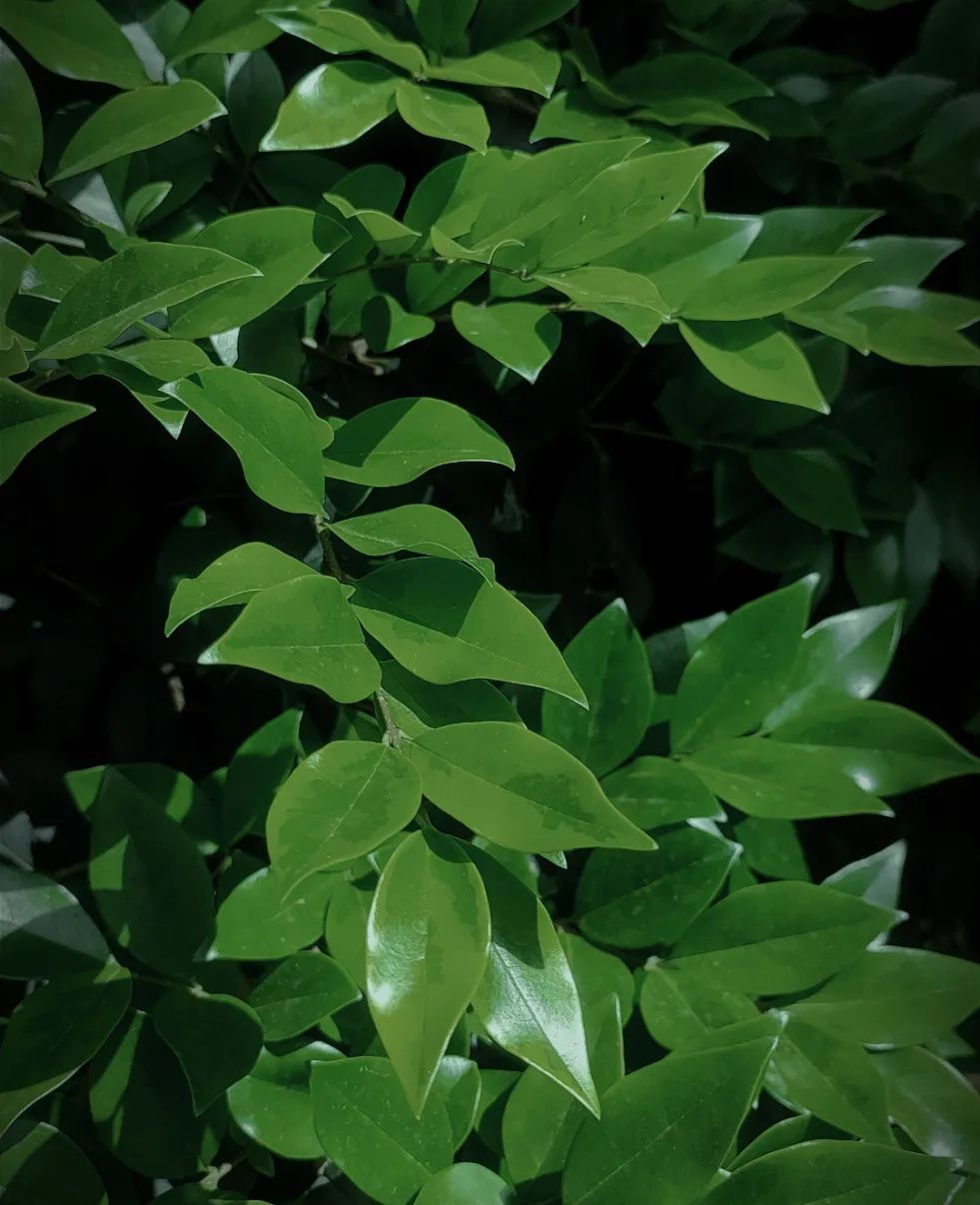 云南24小时历史最低气温,云南本周气温最高地区